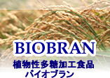 植物性多糖加工食品「バイオブラン」