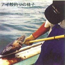 アイ鮫釣りの様子