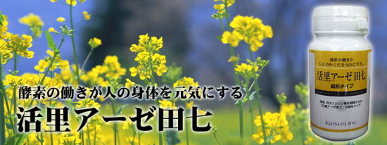 田七人参