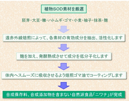 Niwana(ニワナ)ができるまで