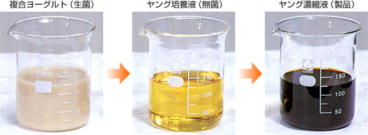 ヤングは一切の添加物を使用しないという方針を貫き、製品内容中にも製造工程中にも添加するものがないことを誇りにして来ました。