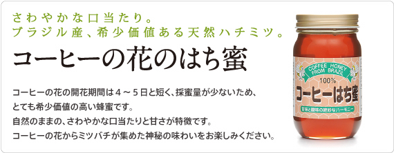 サンフローラのコーヒー蜂蜜