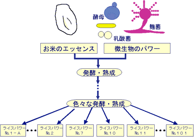 ライスパワーの分類
