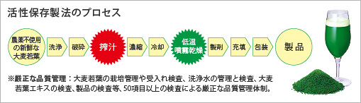 大麦若葉 赤神力にはバランスの良いビタミン、ミネラルをはじめ、フラボノイド、酵素などが豊富に含まれていますが、そのほとんどが熱に弱くデリケートな成分です。この自然の恵みに熱を加えず、青汁成分を生かしたまま粉末化させる「活性保存製法」によって大麦若葉エキス グリーンマグマは誕生しました。