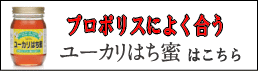 プロポリスに良く合う蜂蜜はこちら