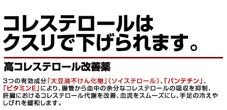 3つの有効成分「大豆油不けん化物」（ソイステロール）、「パンテチン」、「ビタミンE」により、腸管から血中の余分なコレステロールの吸収を抑制、肝臓におけるコレステロール代謝を改善、血流をスムーズにし、手足の冷えやしびれを緩和します。