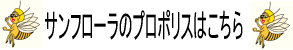 サンフローラのプロポリスはこちら