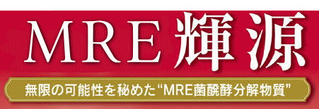 MRE輝源　ニューザイム輝源