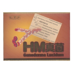 【新品未使用品】和漢生薬研究所　HM真菌(霊芝)